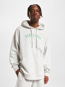 moderner Santa Cruz Herren Hoodie Grau