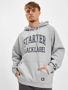 Sweat à capuche STARTER moderne pour homme, avec cordon de serrage, 300 g/m² coton, gris