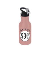 Harry Potter Trinkflasche „Hogwarts Express“ oder „Back to Hogwarts“ 500 ml Edelstahl Trinkflasche im magischen Design Rosa oder Grau