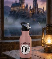 Harry Potter Trinkflasche „Hogwarts Express“ oder „Back to Hogwarts“ 500 ml Edelstahl Trinkflasche im magischen Design Rosa oder Grau