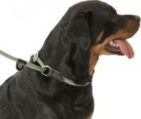Pack de 2 correas 3 en 1 de Company of Animals para perros que tiran con fuerza. Correa corta, correa de recuperación, 170 cm, verde.