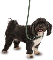 Pack de 2 correas 3 en 1 de Company of Animals para perros que tiran con fuerza. Correa corta, correa de recuperación, 170 cm, verde.