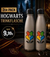 2er Pack Harry Potter Isolierflasche „Back to Hogwarts“ 500 ml Edelstahl Trinkflasche Thermoflasche im magischen Design Beige/Grau