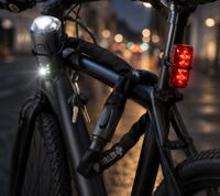 Fahrrad-Kettenschloss mit 2 Schlüsseln ca. 120 cm Robustes Fahrradschloss für Fahrrad, E-Bike & E-Scooter A0008346 Schwarz