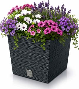 Prosperplast furu Blumentopf frost-, UV- und feuchtigkeitsbeständig Pflanzeinsatz 24cm 7,5/10 L **B-Ware – geprüft & funktionell einwandfrei** Anthrazit