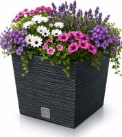 Prosperplast furu Blumentopf frost-, UV- und feuchtigkeitsbeständig Pflanzeinsatz 24cm 7,5/10 L **B-Ware – geprüft & funktionell einwandfrei** Anthrazit