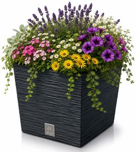 Pot de fleurs Prosperplast Furu, résistant au gel, aux UV et à l'humidité, insert de plantation de 24 cm, 10 L **Reconditionné – Testé et entièrement fonctionnel** Anthracite