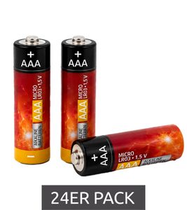 Lot de 24 piles alcalines AAA Micro LR03 1,5 V **Reconditionnées - Testées et fonctionnelles** Multicolores