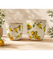 gwd Trend & Ambiente Ceramic Flower Pot Set of 2 with Lemon Design 13cm 11cm **B-Stock – inspected & fully functional** Multicolored