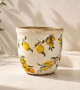 gwd Trend & Ambiente Ceramic Flower Pot with lemon design 11cm **B-Stock – inspected & fully functional** Multicolored