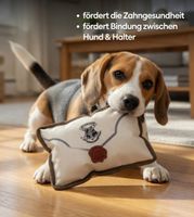 2er Pack Harry Potter Hundekauspielzeug Kauspielzeug Hundespielzeug im Notizbuch Brief-Motiv Beißspielzeug 15x5x20cm Weiß