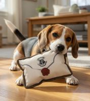 2er Pack Harry Potter Hundekauspielzeug Kauspielzeug Hundespielzeug im Notizbuch Brief-Motiv Beißspielzeug 15x5x20cm Weiß