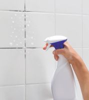 3-teiliges FUGENTORPEDO Fugenreinigungs-System mit 2 auswechselbaren Einsätzen Bad-Zubehör **B-Ware – geprüft** Grau/Weiß