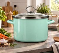 Marmite émaillée KRÜGER avec couvercle en verre 24cm 5L, émail intérieur résistant aux coupures & rayures, tous feux incl. induction **Produit de second choix – testé** en Vert Menthe