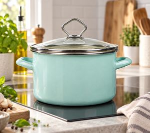 Marmite émaillée KRÜGER avec couvercle en verre 20cm 3,2L, émail intérieur résistant aux coupures & rayures, tous feux incl. induction **Produit de second choix – testé** en Vert Menthe