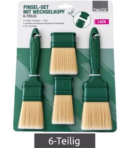 hecht international 6-Teiliges LACK Pinsel-Set mit Wechselkopf - 2 Griffe, 4 Aufsätze, 1 Klick - für Lackfarben **B-Ware – geprüft** Grün