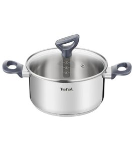 20cm Tefal Daily Cook Kochtopf ca. 2,5 Liter mit Soft-Touch-Griffe Edelstahl-Topf **B-Ware – geprüft** Silber