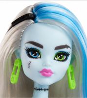Mattel Monster High Frankie Stein Doll with Handbag & Accessory – Monster High Fashion Doll for Ages 4+ **B-Stock – Inspected** Multicolored