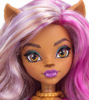 Mattel Monster High Clawdeen Wolf Doll with Dress & Pink Boots – Posable Fashion Doll for Ages 4+ **B-Stock – Inspected** Multicolored