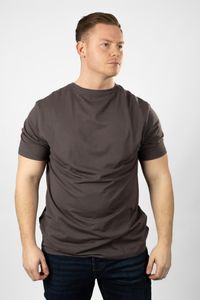 Lakeville Mountain Camiseta de hombre Ludo con estampado en la espalda y cuello redondo Gris