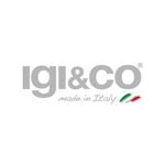 igi&co Logo