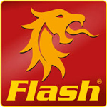 Flash Logo